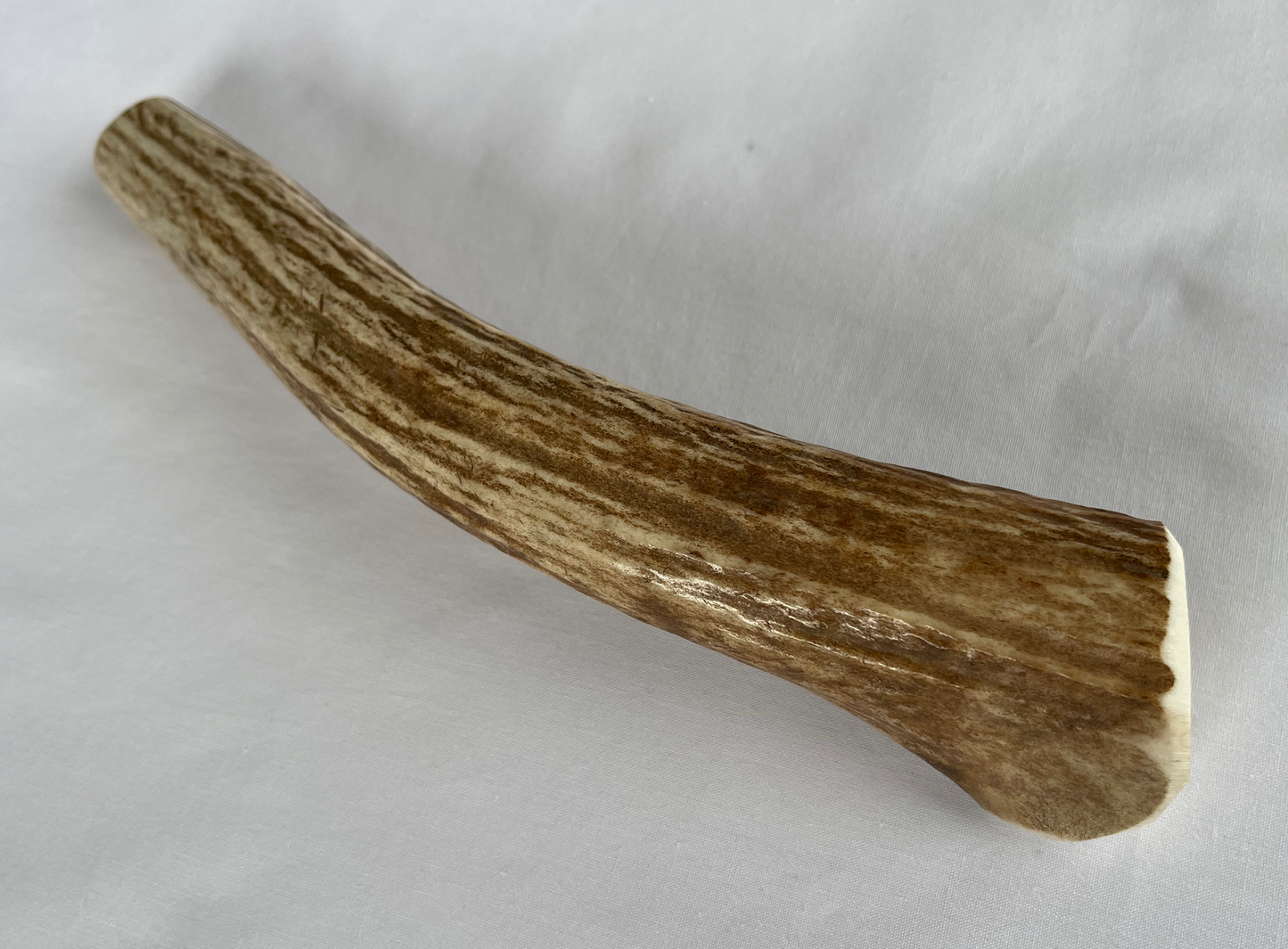 Large Whole Elk Antler Dog Chew 6.5-8 oz