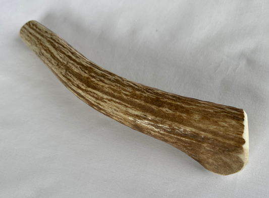 Large Whole Elk Antler Dog Chew 6.5-8 oz