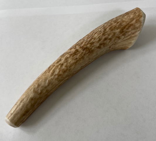 Medium Elk Antler Chew - 5-6 oz